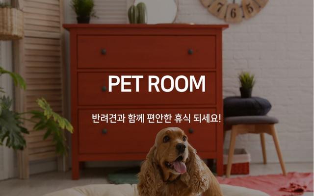 대구 팔공산 넘버25 팔공산점